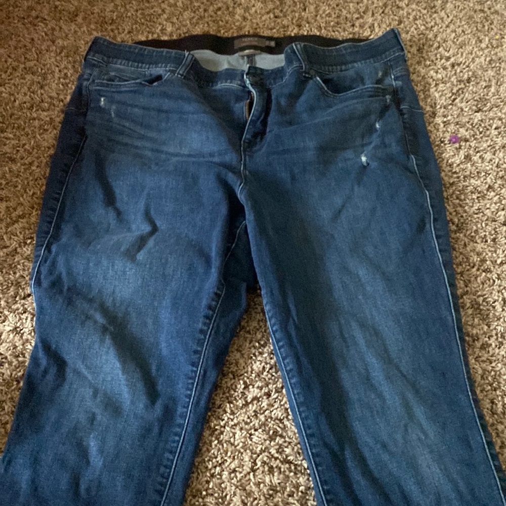 Torrid jeans